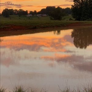 Meet your Posher, Leslie